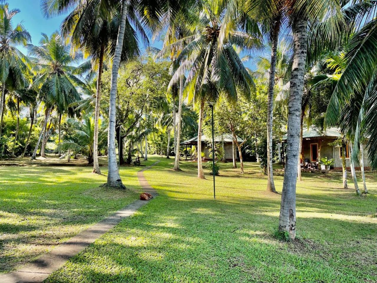 Udawalawa Safari Resort Удавалаве Екстериор снимка