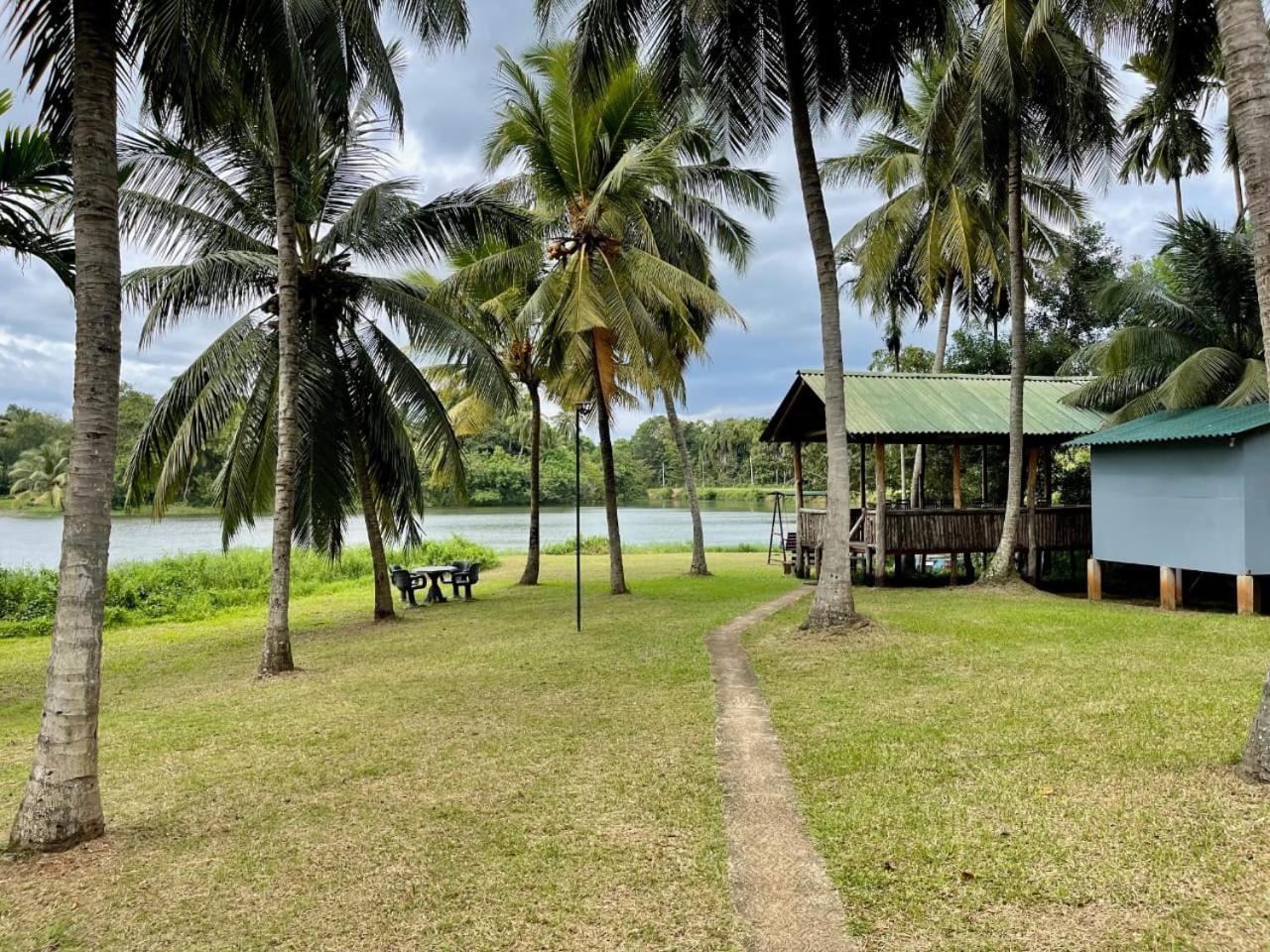 Udawalawa Safari Resort Удавалаве Екстериор снимка