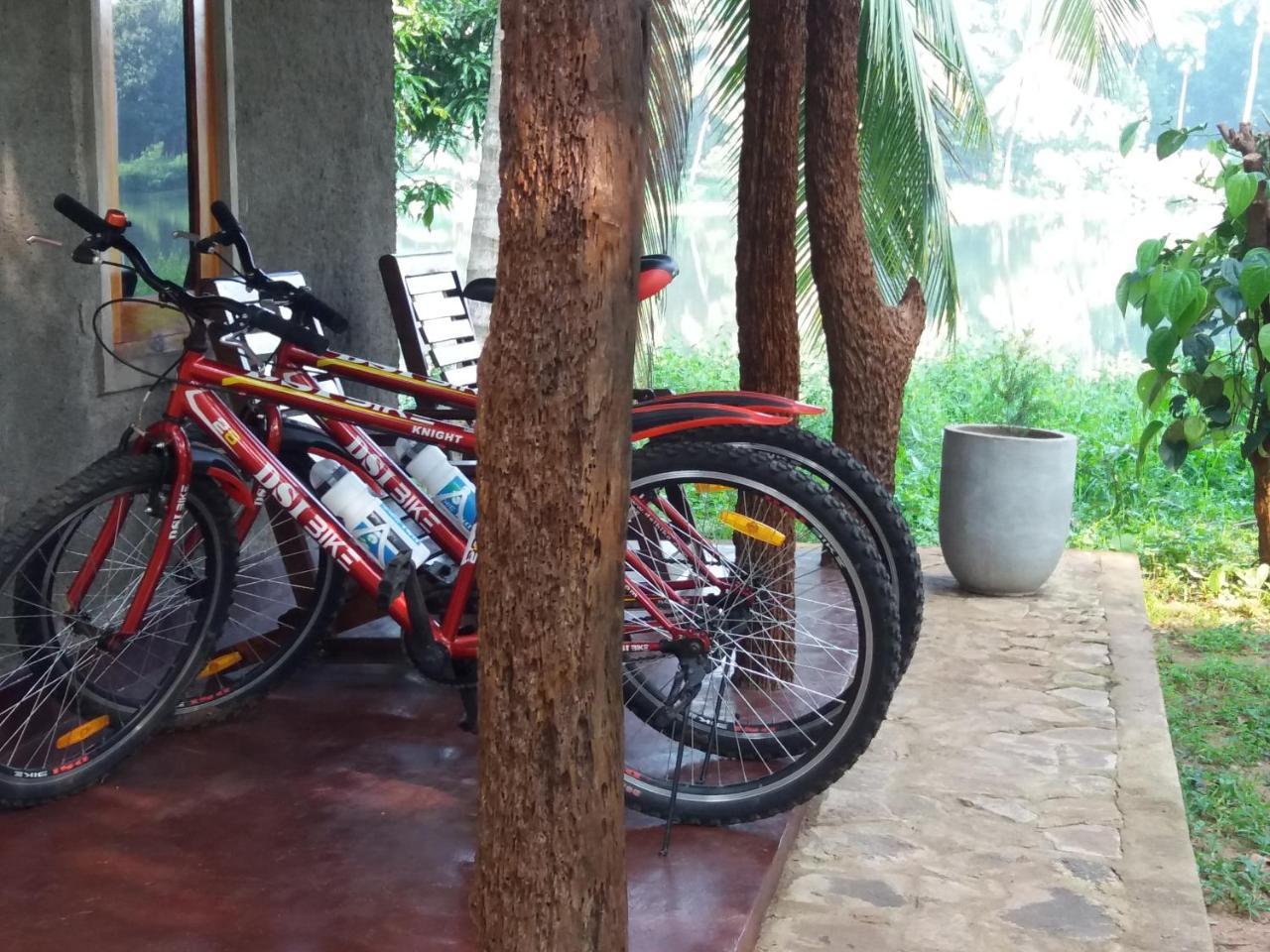 Udawalawa Safari Resort Удавалаве Екстериор снимка