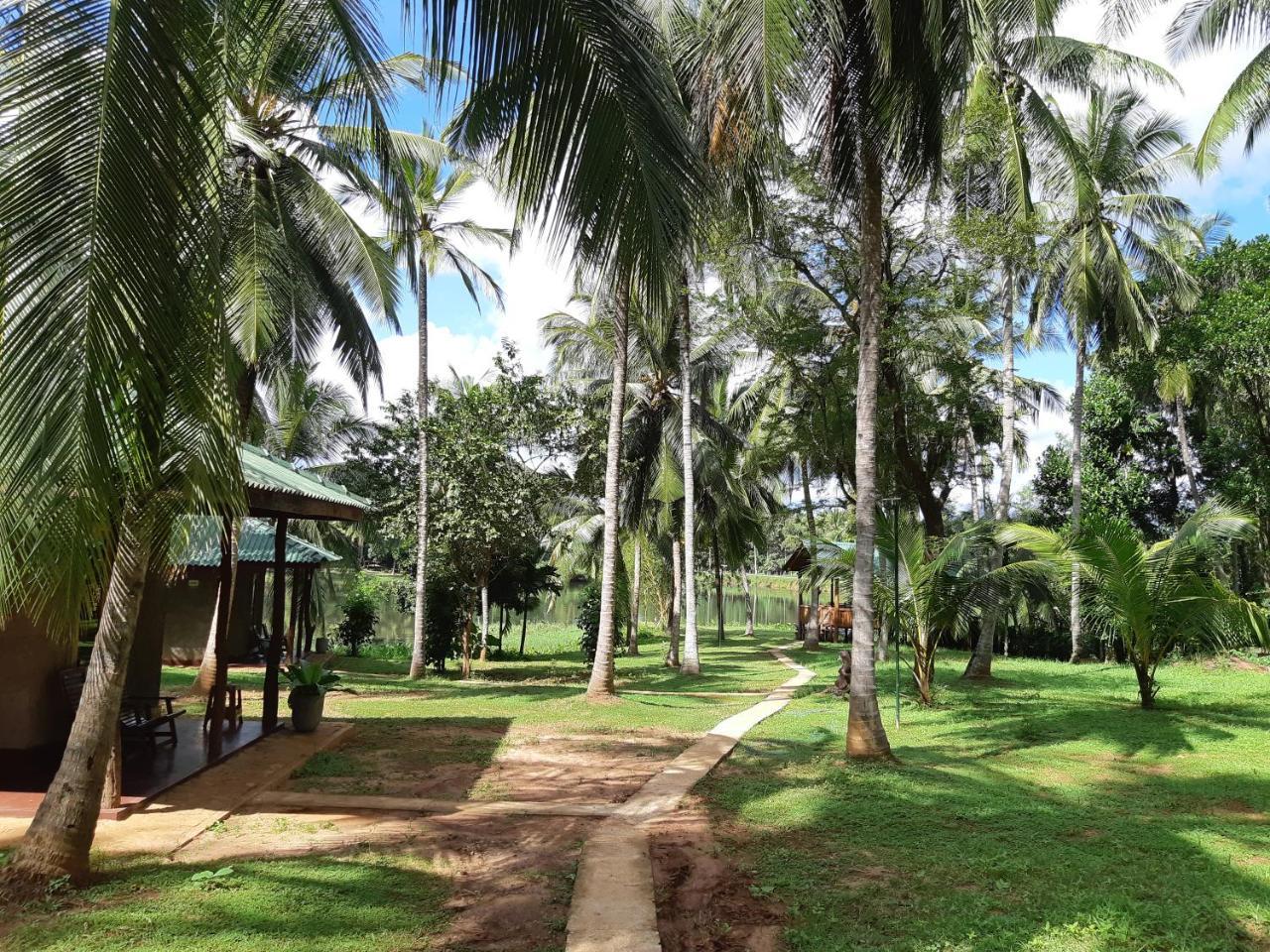 Udawalawa Safari Resort Удавалаве Екстериор снимка
